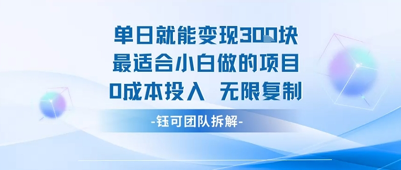 单日就能变现3张最适合小白做的项目0成本投入 无限复制-日入300副业网