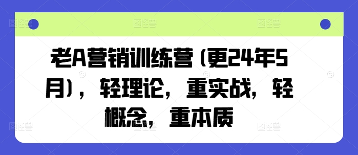 老A营销训练营(更25年7月)，轻理论，重实战，轻概念，重本质-日入300副业网