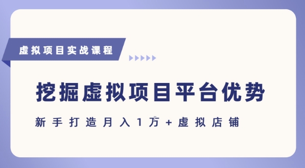 抓住虚拟项目各平台优势，新手轻松月入1W+(给出具体建议)-摇钱述