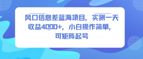 风口信息差蓝海项目，实测一天收益4k+，小白操作简单，可矩阵起号-日入300副业网