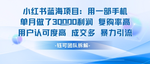 小红书蓝海项目，一部手机单月做了3W利润，小白也能月入过1W用户认可度高成交多-日入300副业网
