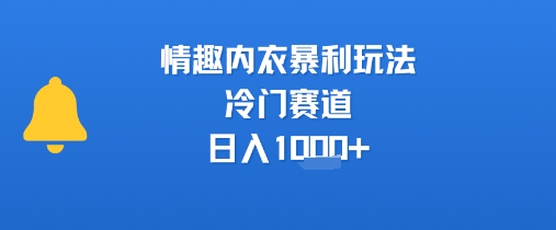 情趣内衣暴利玩法，冷门赛道，日入1k+-日入300副业网