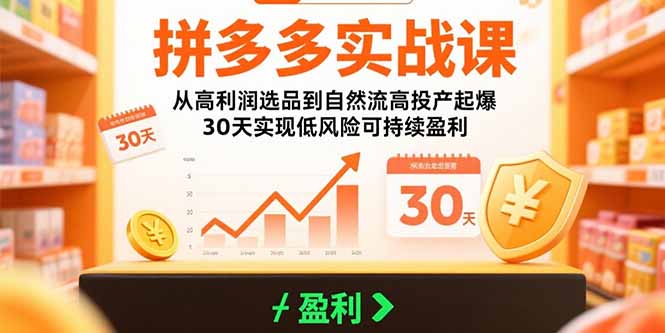 拼多多实战课：从高利润选品到自然流高投产起爆 30天实现低风险可持续盈利-日入300副业网