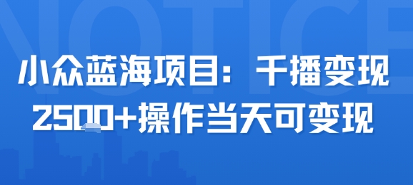 小众蓝海项目，千播变现2.5k+操作当天可变现-日入300副业网