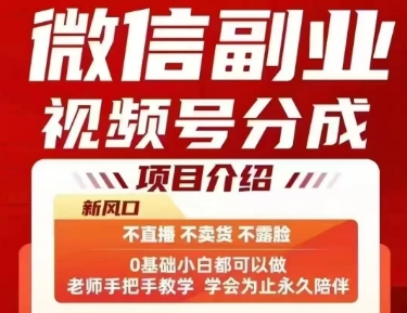 微信副业视频号分成，不直播 不卖货 不露脸，三五分钟即可完成一条作，每日收益几十、几张不等-日入300副业网