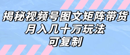 解密视频号图文矩阵带货，月入几个W的打法，可复制-日入300副业网