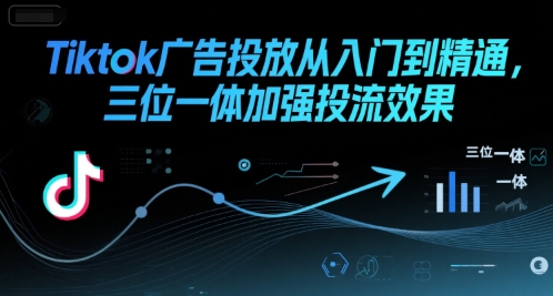 Tiktok广告投放从入门到精通，三位一体加强投流效果-摇钱述