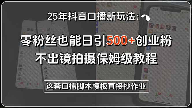 25年抖音口播新玩法：零粉丝也能日引500+创业粉，不出镜拍摄保姆级教程…-摇钱述