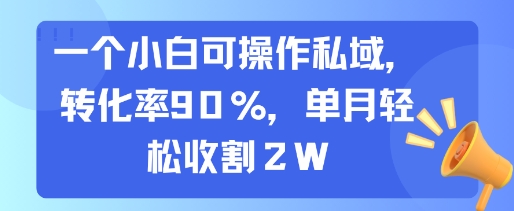 一个小白可操作私域，转化率90%，单月轻松收割2W-日入300副业网