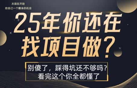 25年，你还在疯狂的找项目吗？别傻了，看完这个你都懂了【揭秘】-日入300副业网