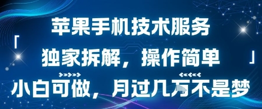 苹果手机技术服务，独家拆解，操作简单，小白可做，月过1W不是梦-日入300副业网