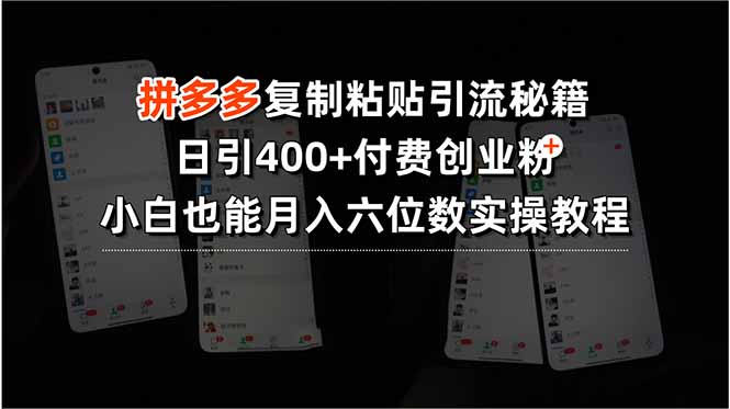 拼多多复制粘贴引流秘籍，日引400+付费创业粉，小白也能月入六位数实操…-日入300副业网
