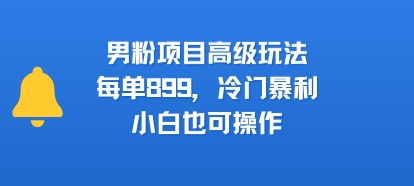 男粉项目高级玩法，每单899，冷门暴利，小白也可操作-日入300副业网