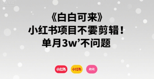 小白可来 小红书项目不需要剪辑 单月3w不是问题-日入300副业网