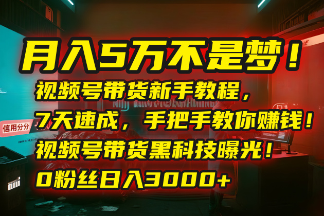 月入5万不是梦！视频号带货新手教程，7天速成，手把手教你赚钱！视频号…-日入300副业网