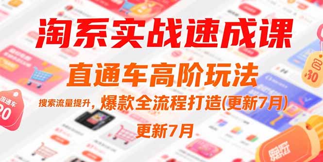 淘系实战速成课，直通车高阶玩法，搜索流量提升，爆款全流程打造(更新7月-摇钱述
