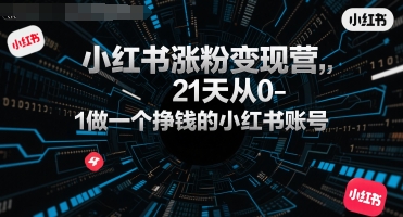 小红书涨粉变现营，21天从0-1做一个挣钱的小红书账号-摇钱述