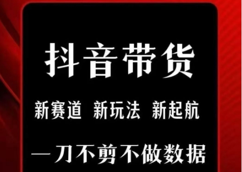 抖音短视频一刀不剪带货，不剪辑，不直播，每天发个视频，等着出单获取带货佣金-摇钱述