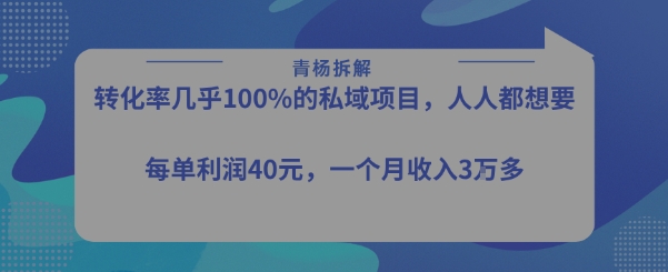 转化率最高的私域项目，每单利润40-50米，月入过1w-日入300副业网