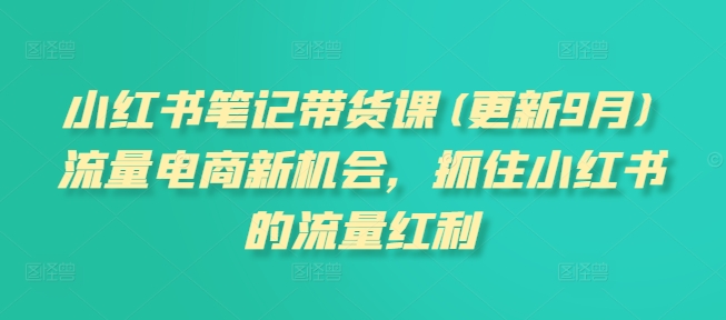小红书笔记带货课(更新25年6月)流量电商新机会，抓住小红书的流量红利-摇钱述