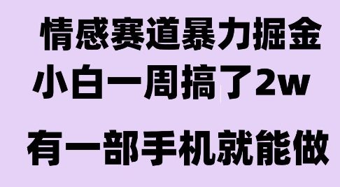 情感暴力掘金项目，新人操作一周挣了2W，长期稳定小白可做【揭秘】-摇钱述