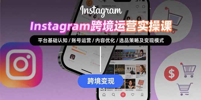 Instagram跨境运营实战：平台认知/账号运营/内容优化/选品策略及变现模式-日入300副业网