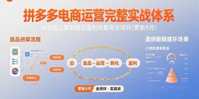 拼多多电商运营完整实战体系，从选品上架到稳定盈利完整商业闭环(更新8月-日入300副业网
