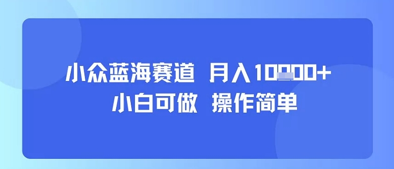 小众蓝海赛道，小白可做，操作简单，每天30分钟，月入1W+-日入300副业网
