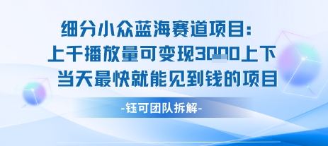 小众蓝海赛道项目：当天变现1k+适合新手操作 +适合长期玩-日入300副业网