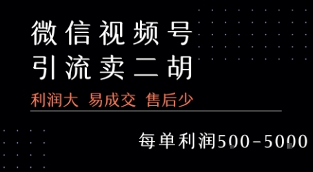 视频号卖二胡教程，利润大 易成交 售后少，一单利润5张+-日入300副业网