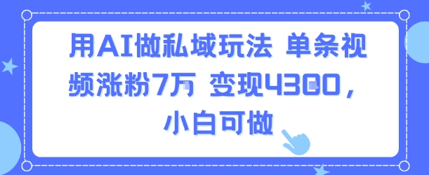 用AI做私域玩法，单条视频涨粉7W变现4.3k，小白可做-日入300副业网
