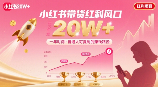 一年时间靠小红书带货项目年入20w+，最不能错的大红利项目-日入300副业网