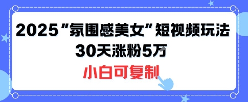 不露脸也能火！2025“氛围感美女”短视频玩法，30天涨粉5W小白可复制-日入300副业网