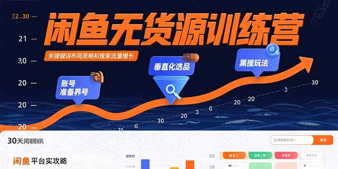 闲鱼无货源训练营：账号准备养号/垂直化选品/黑搜玩法，0基础30天盈利指南-日入300副业网