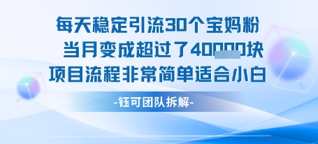 每天稳定引流30个人 当月变成超过了4个W项目流程非常简单适合小白-日入300副业网