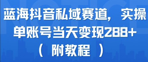 蓝海抖音私域赛道，实操单账号当天变现288+(附教程)-日入300副业网