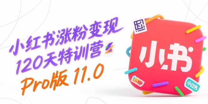 小红书涨粉变现120天特训营Pro版11.0：从0到1掌握平台运营,内容制作和变现-摇钱述