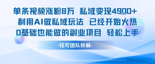 单条视频私域变现4.9k+利用AI做私域玩法 已经开始火热0基础也能做的副业项目轻松上手-日入300副业网