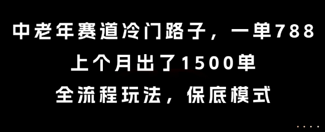 中老年赛道冷门路子，一单788，上个月出了1500单，全流程玩法，保底模式【揭秘】-日入300副业网