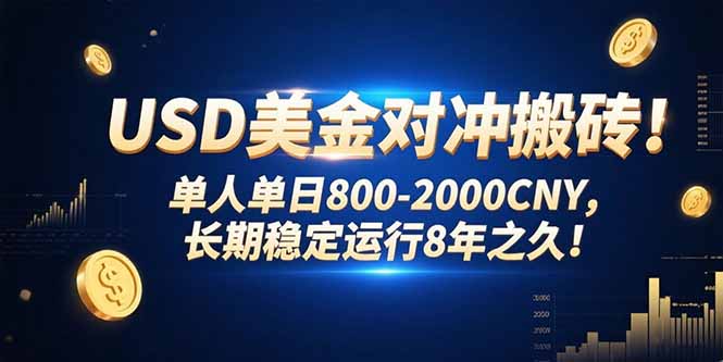 USD美金对冲搬砖!单人单日800-2000CNY，长期稳定运行8年之久!-日入300副业网