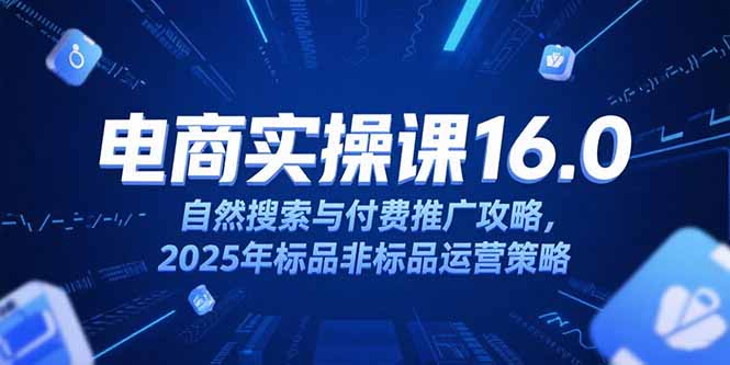 淘宝电商运营课16.0，自然搜索与付费推广攻略，2025年标品非标品运营策略-摇钱述