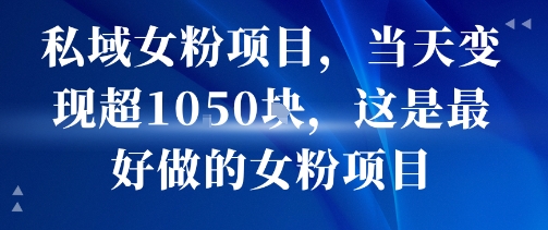 私域女粉项目，当天变现超1k，这是最好做的女粉项目，可放大操作-日入300副业网