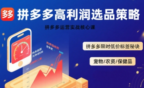 拼多多选品暴利技术实战课，拼多多高利润选品策略，拼多多限时低价标签秘诀-日入300副业网