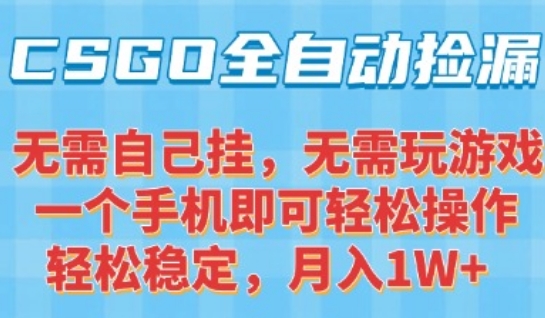 CSGO自动捡漏项目，最新独家玩法，一个手机可操作，新手小白轻松月入1W+，操作简单易上手【揭秘】-摇钱述