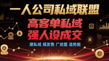 一人公司私域联盟，高客单私域，强人设成交，建私域 搞发售 广结盟 造势能-摇钱述