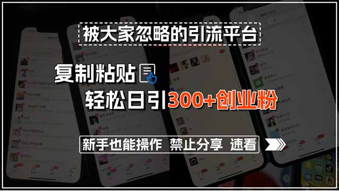 被大家忽略的引流平台，复制粘贴轻松日引300+创业粉，新手也能操作，禁…-摇钱述