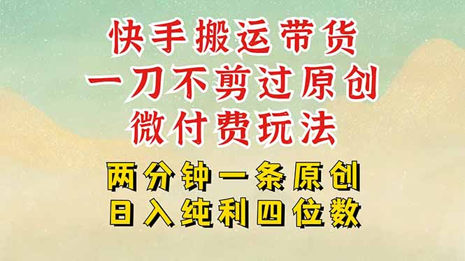 快手黑科技搬运带货，一刀不剪过原创，微付费投流玩法，轻松日入四位数…-日入300副业网