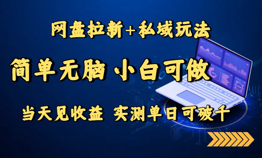 网盘拉新+私域玩法，简单无脑，小白可做，当天见收益，实测单日可破千-日入300副业网
