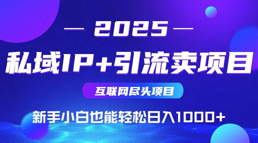 2025网创尽头项目，私域IP+引流，新手小白也能在家日入1000+-日入300副业网