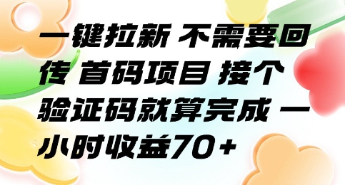 一键拉新 不需要回传 首码项目 接个验证码就算完成 一小时收益70+【揭秘】-日入300副业网